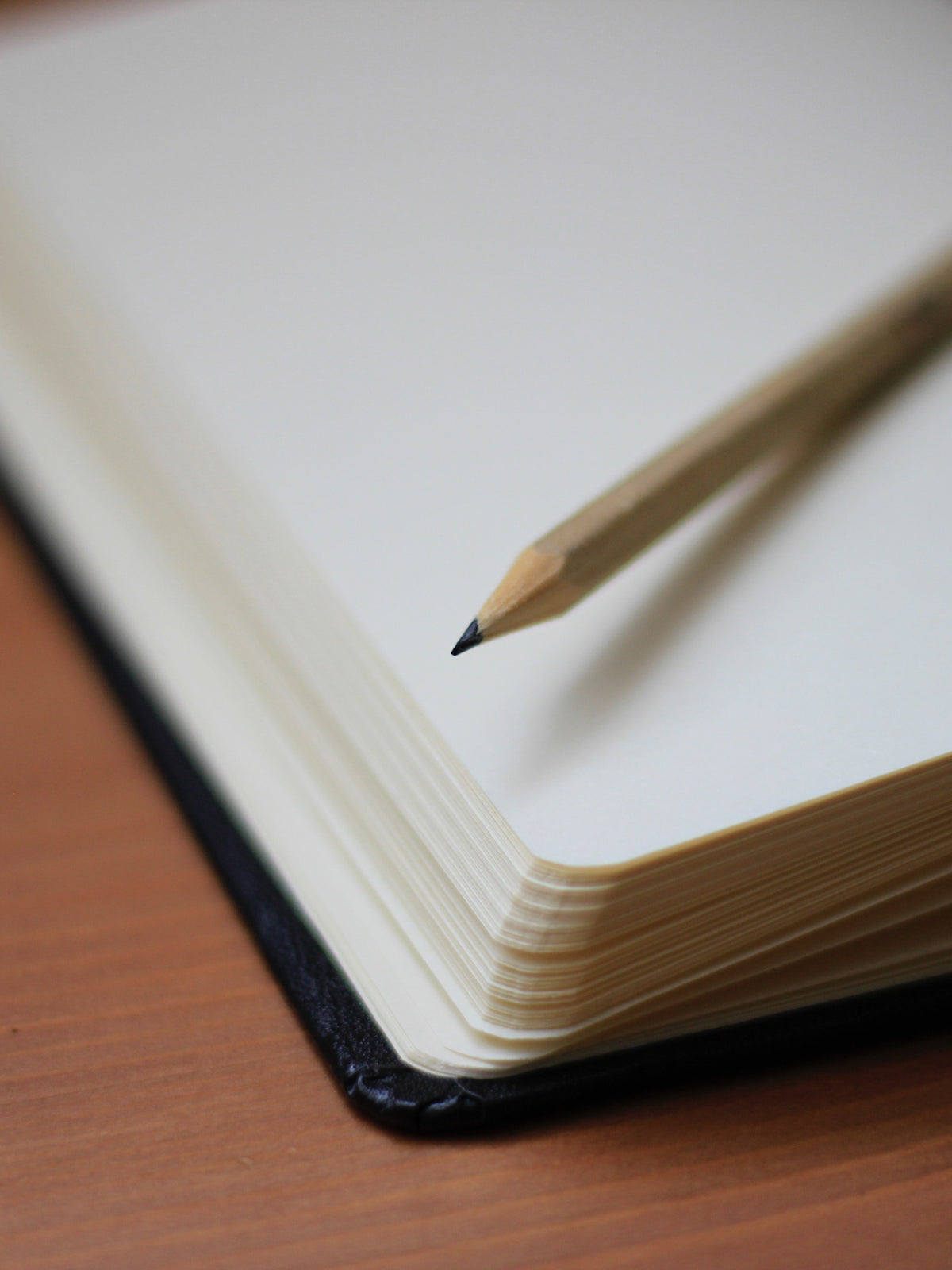 Personalized diary