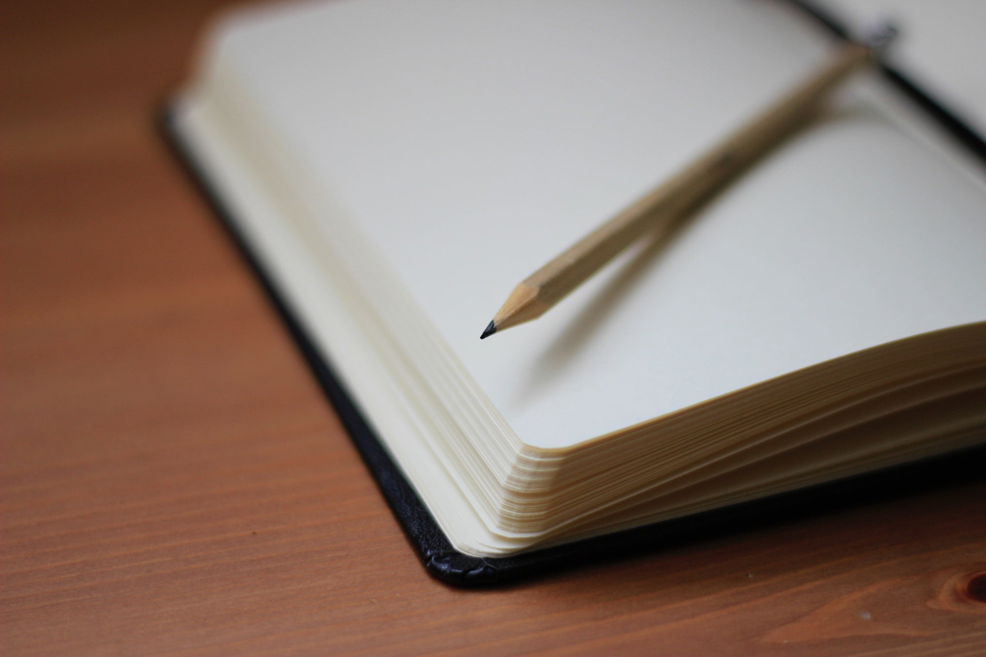 Personalized diary